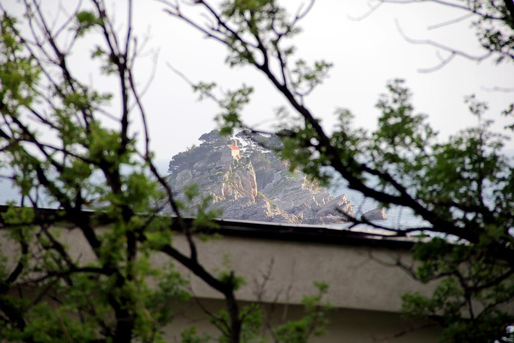 Apartments Draskovic Mirista Petrovac Екстериор снимка